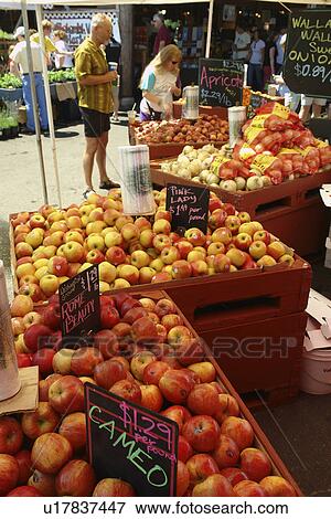 Olympia, WA, Washington, Saturday Farmers Market View Large Photo Image Stock Photo - Olympia, WA, Washington, Saturday Farmers Market. Fotosearch