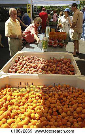 Olympia, WA, Washington, Saturday Farmers Market View Large Photo Image Stock Photo - Olympia, WA, Washington, Saturday Farmers Market. Fotosearch