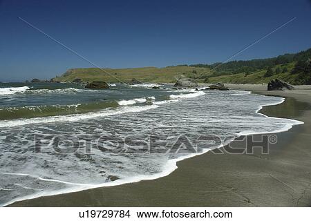 OR, Oregon, Pacific Ocean, Pacific Coast Scenic Byway, Rt Route, Highway 101, Samuel H. Boardman Scenic Corridor, Sea Stacks View Large Photo Image Picture - OR, Oregon, Pacific Ocean, Pacific Coast Scenic Byway, Rt Route, Highway 101, Samuel H. Boardman Scenic Corridor, Sea Stacks. Fotosearch