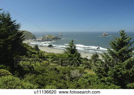 OR, Oregon, Pacific Ocean, Pacific Coast Scenic Byway, Rt Route, Highway 101, Samuel H. Boardman Scenic Corridor, Sea Stacks View Large Photo Image Stock Image - OR, Oregon, Pacific Ocean, Pacific Coast Scenic Byway, Rt Route, Highway 101, Samuel H. Boardman Scenic Corridor, Sea Stacks. Fotosearch