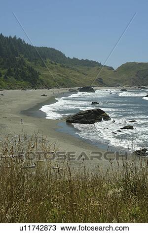 OR, Oregon, Pacific Ocean, Pacific Coast Scenic Byway, Rt Route, Highway 101, Samuel H. Boardman Scenic Corridor, Sea Stacks View Large Photo Image Stock Image - OR, Oregon, Pacific Ocean, Pacific Coast Scenic Byway, Rt Route, Highway 101, Samuel H. Boardman Scenic Corridor, Sea Stacks. Fotosearch
