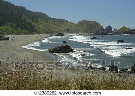 OR, Oregon, Pacific Ocean, Pacific Coast Scenic Byway, Rt Route, Highway 101, Samuel H. Boardman Scenic Corridor, Sea Stacks View Large Photo Image Stock Image - OR, Oregon, Pacific Ocean, Pacific Coast Scenic Byway, Rt Route, Highway 101, Samuel H. Boardman Scenic Corridor, Sea Stacks. Fotosearch