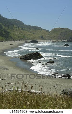 OR, Oregon, Pacific Ocean, Pacific Coast Scenic Byway, Rt Route, Highway 101, Samuel H. Boardman Scenic Corridor, Sea Stacks View Large Photo Image Stock Image - OR, Oregon, Pacific Ocean, Pacific Coast Scenic Byway, Rt Route, Highway 101, Samuel H. Boardman Scenic Corridor, Sea Stacks. Fotosearch