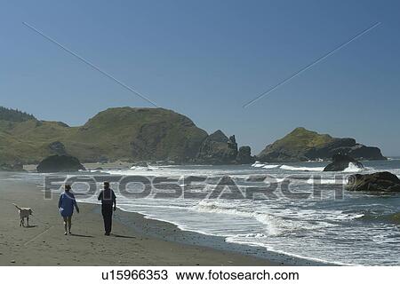 OR, Oregon, Pacific Ocean, Pacific Coast Scenic Byway, Rt Route, Highway 101, Samuel H. Boardman Scenic Corridor, Sea Stacks, couple walking on the beach with a dog View Large Photo Image Stock Image - OR, Oregon, Pacific Ocean, Pacific Coast Scenic Byway, Rt Route, Highway 101, Samuel H. Boardman Scenic Corridor, Sea Stacks, couple walking on the beach with a dog. Fotosearch