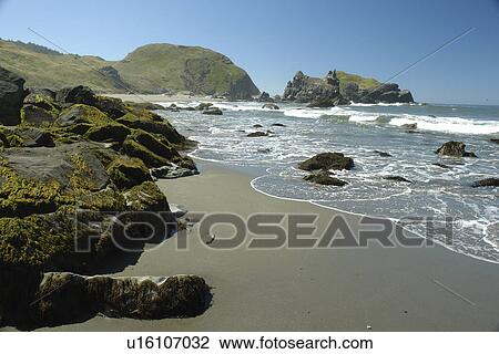 OR, Oregon, Pacific Ocean, Pacific Coast Scenic Byway, Rt Route, Highway 101, Samuel H. Boardman Scenic Corridor, Sea Stacks View Large Photo Image Stock Image - OR, Oregon, Pacific Ocean, Pacific Coast Scenic Byway, Rt Route, Highway 101, Samuel H. Boardman Scenic Corridor, Sea Stacks. Fotosearch