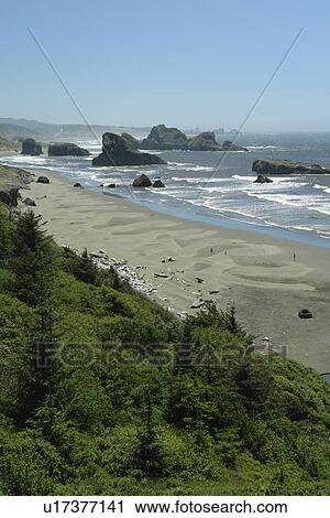 Stock Image -  OR, Oregon, Pacific Ocean, Pacific Coast Scenic Byway, Rt Route, Highway 101, Cape Sebastian State Scenic Corridor, Viewpoint. Fotosearch