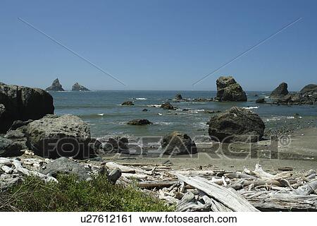 OR, Oregon, Pacific Ocean, Pacific Coast Scenic Byway, Rt Route, Highway 101, Samuel H. Boardman Scenic Corridor, Sea Stacks View Large Photo Image Stock Image - OR, Oregon, Pacific Ocean, Pacific Coast Scenic Byway, Rt Route, Highway 101, Samuel H. Boardman Scenic Corridor, Sea Stacks. Fotosearch