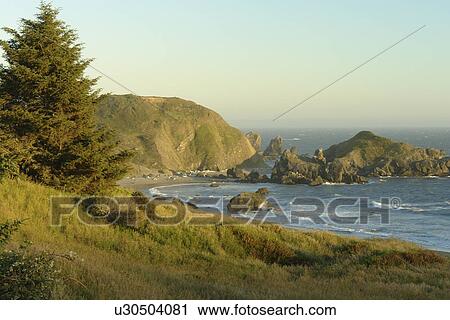OR, Oregon, Pacific Ocean, Pacific Coast Scenic Byway, Rt Route, Highway 101, Samuel H. Boardman Scenic Corridor, Sea Stacks View Large Photo Image Stock Image - OR, Oregon, Pacific Ocean, Pacific Coast Scenic Byway, Rt Route, Highway 101, Samuel H. Boardman Scenic Corridor, Sea Stacks. Fotosearch