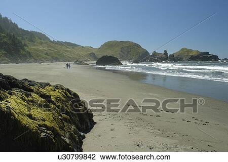 OR, Oregon, Pacific Ocean, Pacific Coast Scenic Byway, Rt Route, Highway 101, Samuel H. Boardman Scenic Corridor, Sea Stacks View Large Photo Image Stock Image - OR, Oregon, Pacific Ocean, Pacific Coast Scenic Byway, Rt Route, Highway 101, Samuel H. Boardman Scenic Corridor, Sea Stacks. Fotosearch