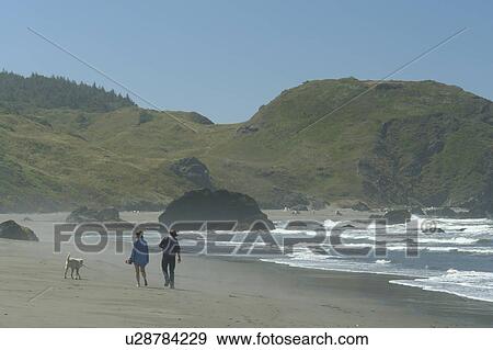 OR, Oregon, Pacific Ocean, Pacific Coast Scenic Byway, Rt Route, Highway 101, Samuel H. Boardman Scenic Corridor, Sea Stacks, couple walking on the beach with a dog View Large Photo Image Stock Photo - OR, Oregon, Pacific Ocean, Pacific Coast Scenic Byway, Rt Route, Highway 101, Samuel H. Boardman Scenic Corridor, Sea Stacks, couple walking on the beach with a dog. Fotosearch