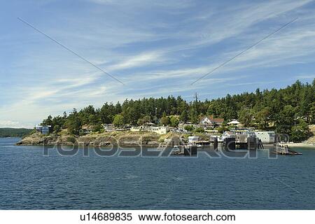 Orcas, WA, Washington, Puget Sound, San Juan Islands, Orcas Island, Washington State ferry to British Columbia, Canada View Large Photo Image Stock Photography - Orcas, WA, Washington, Puget Sound, San Juan Islands, Orcas Island, Washington State ferry to British Columbia, Canada. Fotosearch