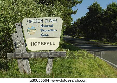 Oregon Dunes National Recreation Area, OR, Oregon, Pacific Ocean, Pacific Coast Scenic Byway, Rt Route, Highway 101, Siuslaw National Forest View Large Photo Image Picture - Oregon Dunes National Recreation Area, OR, Oregon, Pacific Ocean, Pacific Coast Scenic Byway, Rt Route, Highway 101, Siuslaw National Forest. Fotosearch