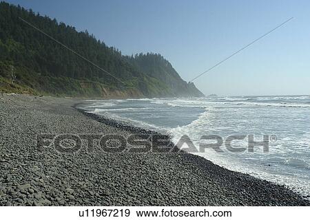 Stock Photo -  Oswald West State Park, OR, Oregon, Pacific Ocean, Pacific Coast Scenic Byway, Rt Route, Highway 101, Cove Beach. Fotosearch