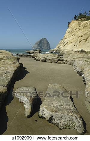 Stock Image -  Pacific City, OR, Oregon, Pacific Ocean, Pacific Coast Scenic Byway, Rt Route, Highway 101, Cape Kiwanda, Cape Kiwanda State Natural Area, Haystack Rock. Fotosearch