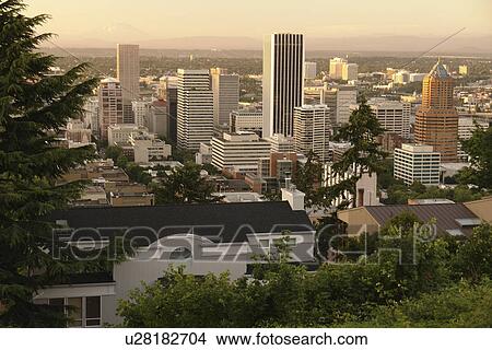 Portland, OR, Oregon, downtown, skyline View Large Photo Image Picture - Portland, OR, Oregon, downtown, skyline. Fotosearch