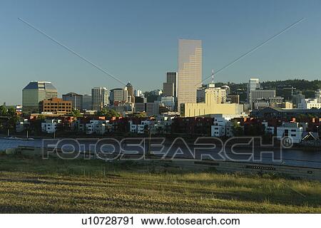 Portland, OR, Oregon, downtown, skyline View Large Photo Image Stock Image - Portland, OR, Oregon, downtown, skyline. Fotosearch