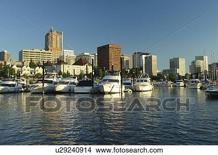Picture -  Portland, OR, Oregon, Willamette River, downtown, skyline, Riverplace Marina. Fotosearch