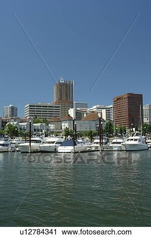 Portland, OR, Oregon, Willamette River, downtown, skyline, Riverplace Marina View Large Photo Image Stock Image - Portland, OR, Oregon, Willamette River, downtown, skyline, Riverplace Marina. Fotosearch