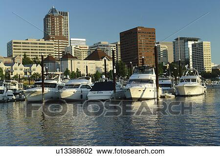 Portland, OR, Oregon, Willamette River, downtown, skyline, Riverplace Marina View Large Photo Image Stock Image - Portland, OR, Oregon, Willamette River, downtown, skyline, Riverplace Marina. Fotosearch