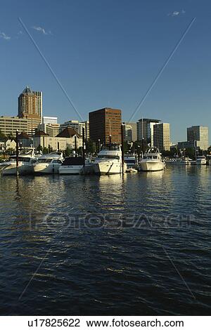 Portland, OR, Oregon, Willamette River, downtown, skyline, Riverplace Marina View Large Photo Image Stock Image - Portland, OR, Oregon, Willamette River, downtown, skyline, Riverplace Marina. Fotosearch