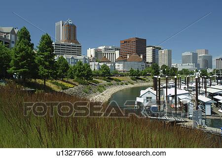 Portland, OR, Oregon, Willamette River, downtown, skyline, Riverplace Marina View Large Photo Image Stock Photograph - Portland, OR, Oregon, Willamette River, downtown, skyline, Riverplace Marina. Fotosearch
