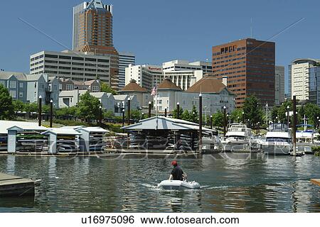 Portland, OR, Oregon, Willamette River, downtown, skyline, Riverplace Marina View Large Photo Image Stock Photograph - Portland, OR, Oregon, Willamette River, downtown, skyline, Riverplace Marina. Fotosearch