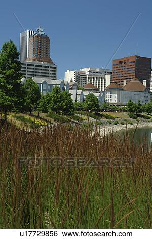 Portland, OR, Oregon, Willamette River, downtown, skyline View Large Photo Image Stock Photograph - Portland, OR, Oregon, Willamette River, downtown, skyline. Fotosearch