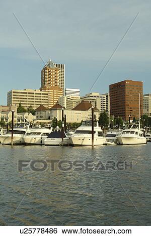 Portland, OR, Oregon, Willamette River, downtown, skyline, Riverplace Marina View Large Photo Image Stock Photograph - Portland, OR, Oregon, Willamette River, downtown, skyline, Riverplace Marina. Fotosearch