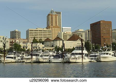 Portland, OR, Oregon, Willamette River, downtown, skyline, Riverplace Marina View Large Photo Image Stock Photograph - Portland, OR, Oregon, Willamette River, downtown, skyline, Riverplace Marina. Fotosearch