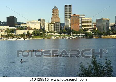 Portland, OR, Oregon, Willamette River, downtown, skyline, sculling, rowing View Large Photo Image Stock Photography - Portland, OR, Oregon, Willamette River, downtown, skyline, sculling, rowing. Fotosearch