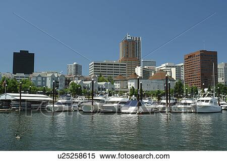 Portland, OR, Oregon, Willamette River, downtown, skyline, Riverplace Marina View Large Photo Image Stock Photography - Portland, OR, Oregon, Willamette River, downtown, skyline, Riverplace Marina. Fotosearch