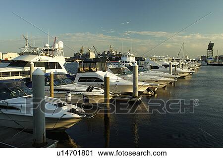 Portsmouth, VA, Virginia, Hampton Roads Area, marina View Large Photo Image Stock Image - Portsmouth, VA, Virginia, Hampton Roads Area, marina. Fotosearch