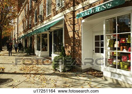 Princeton, NJ, New Jersey, Downtown, autumn View Large Photo Image Picture - Princeton, NJ, New Jersey, Downtown, autumn. Fotosearch