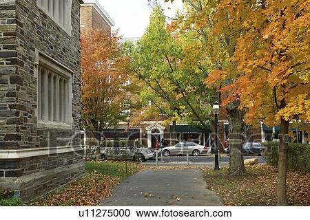 Princeton, NJ, New Jersey, downtown, Princeton University, campus, autumn View Large Photo Image Stock Image -  Princeton, NJ, New Jersey, downtown, Princeton University, campus, autumn. Fotosearch