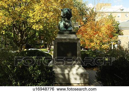 Princeton, NJ, New Jersey, Downtown, Edgar Palmer Square, Lion Statue View Large Photo Image Stock Photograph - Princeton, NJ, New Jersey, Downtown, Edgar Palmer Square, Lion Statue. Fotosearch