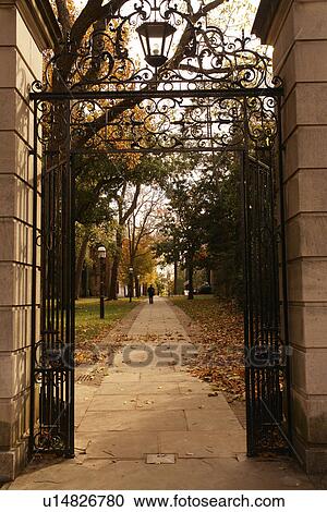 Princeton, NJ, New Jersey, Princeton University, gate, campus View Large Photo Image Stock Image - Princeton, NJ, New Jersey, Princeton University, gate, campus. Fotosearch