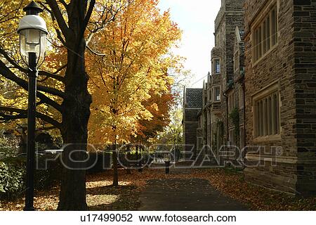 Princeton, NJ, New Jersey, Princeton University, Madison Hall View Large Photo Image Stock Image - Princeton, NJ, New Jersey, Princeton University, Madison Hall. Fotosearch