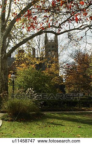 Princeton, NJ, New Jersey, Princeton University, campus, autumn View Large Photo Image Stock Photo - Princeton, NJ, New Jersey, Princeton University, campus, autumn. Fotosearch