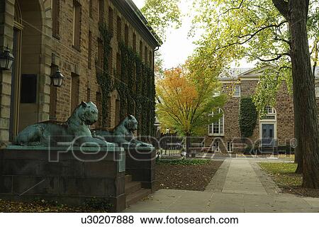 Princeton, NJ, New Jersey, Princeton University, Nassau Hall, Lion Statues, autumn View Large Photo Image Stock Photo - Princeton, NJ, New Jersey, Princeton University, Nassau Hall, Lion Statues, autumn. Fotosearch