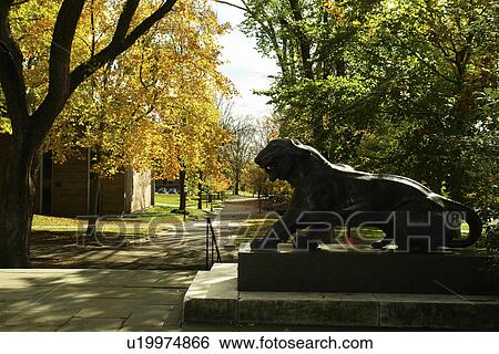 Princeton, NJ, New Jersey, Princeton University, campus, Lion Statue, autumn View Large Photo Image Stock Photograph - Princeton, NJ, New Jersey, Princeton University, campus, Lion Statue, autumn. Fotosearch