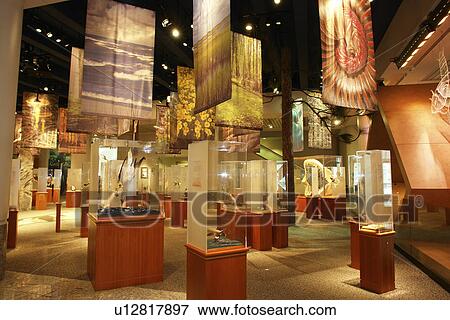 Stock Photo -  Raleigh, NC, North Carolina, North Carolina Museum of Natural Sciences. Fotosearch
