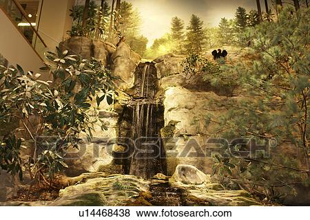 Stock Photo -  Raleigh, NC, North Carolina, North Carolina Museum of Natural Sciences. Fotosearch