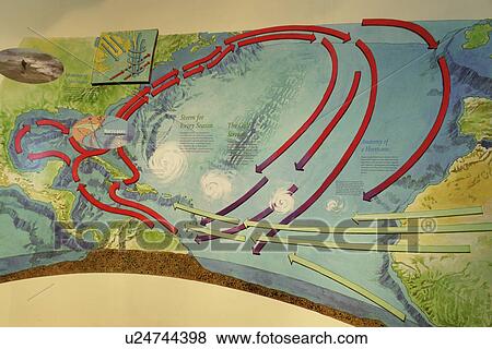 Stock Photo -  Raleigh, NC, North Carolina, North Carolina Museum of Natural Sciences. Fotosearch
