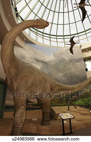 Raleigh, NC, North Carolina, North Carolina Museum of Natural Sciences View Large Photo Image Stock Photograph - Raleigh, NC, North Carolina, North Carolina Museum of Natural Sciences. Fotosearch
