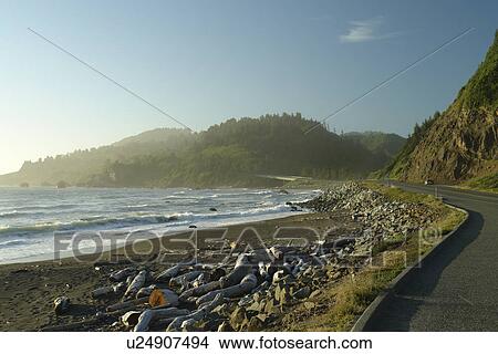 Picture -  Redwood National and State Parks, CA, California, Pacific Ocean, Del Norte Coast Redwoods State Park, coastal road. Fotosearch
