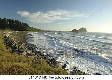 Stock Image -  Redwood National and State Parks, CA, California, Pacific Ocean, Del Norte Coast Redwoods State Park. Fotosearch