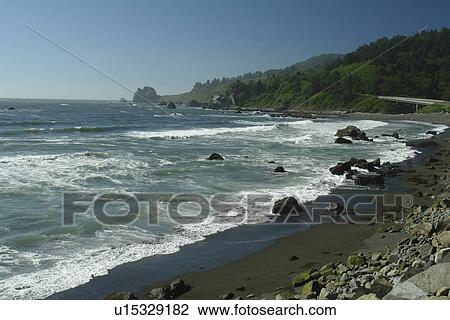 Stock Image -  Redwood National and State Parks, CA, California, Pacific Ocean, Del Norte Coast Redwoods State Park. Fotosearch