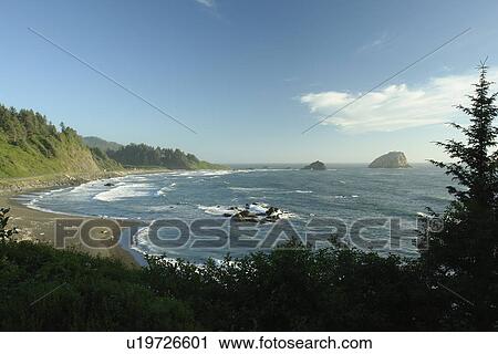 Stock Image -  Redwood National and State Parks, CA, California, Pacific Ocean, Del Norte Coast Redwoods State Park. Fotosearch