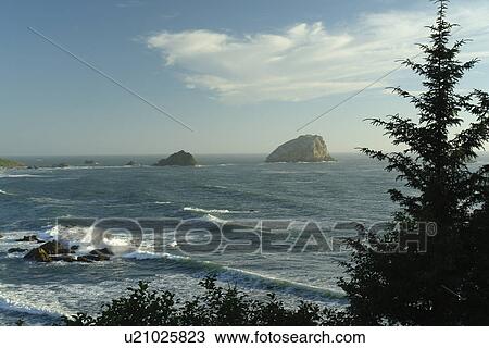 Stock Image -  Redwood National and State Parks, CA, California, Pacific Ocean, Del Norte Coast Redwoods State Park. Fotosearch