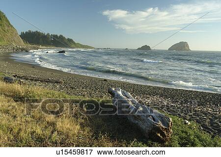 Stock Photo -  Redwood National and State Parks, CA, California, Pacific Ocean, Del Norte Coast Redwoods State Park. Fotosearch